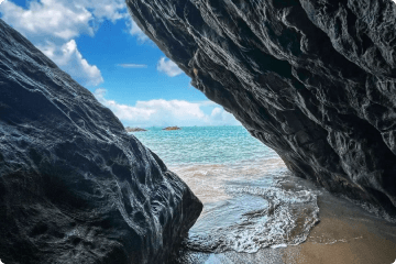 Chorao Bird Sanctuary